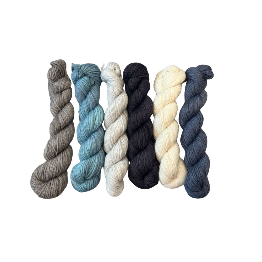 Tanis Fiber Arts Multi Color Hand Dyed Highland DK Mini Skeins Wool Yarn 366g
